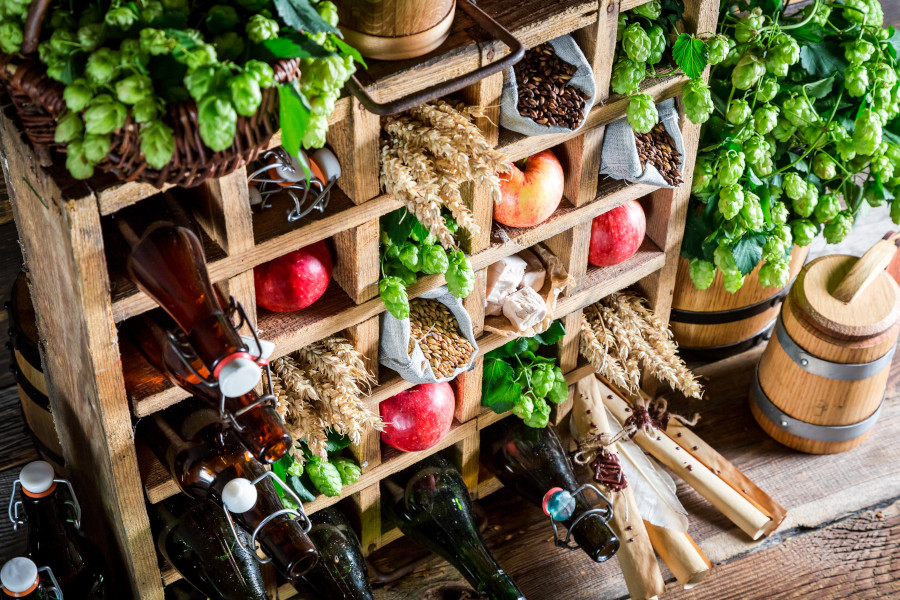 Rustikales Stillleben mit Bierflaschen, Hopfen, Äpfeln und Getreide.